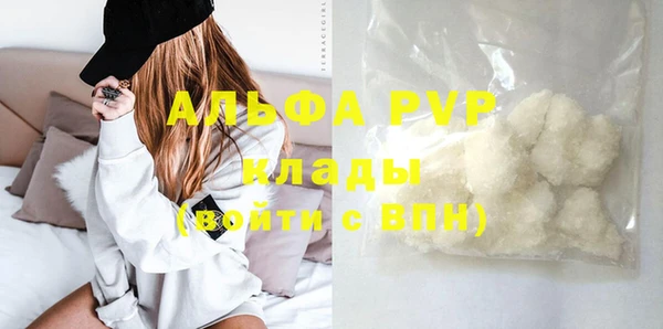 гашик Сосновый Бор