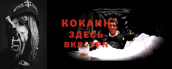 стаф Сосновка