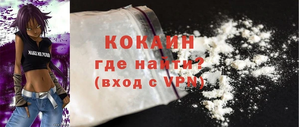 гашик Сосновый Бор