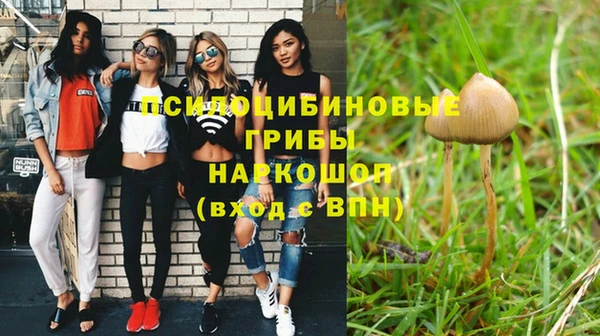 таблы Сосновоборск