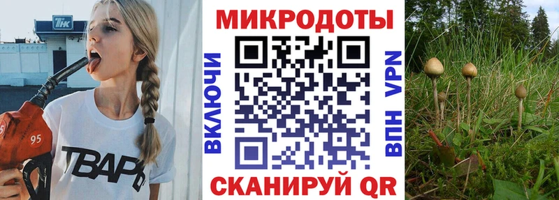 Псилоцибиновые грибы прущие грибы  где купить наркотик  Мамоново 
